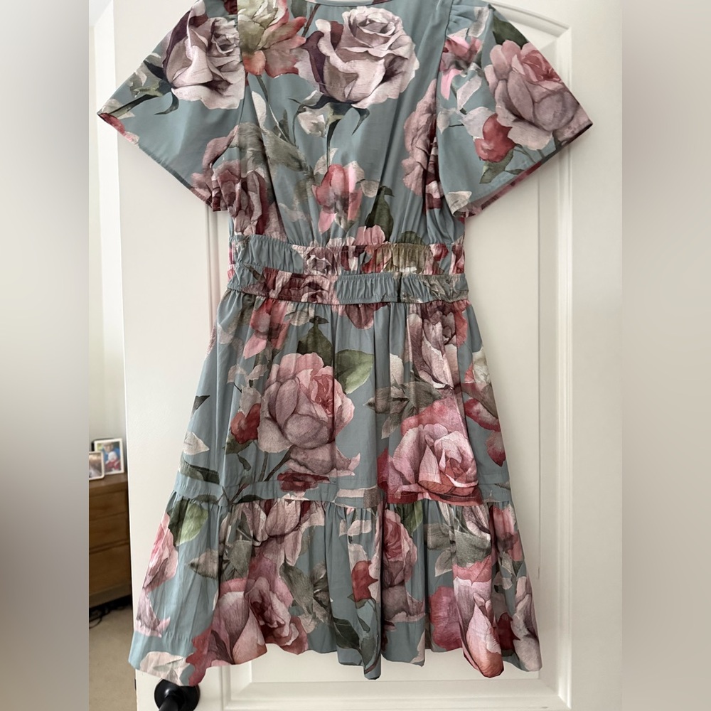 Somerset Mini Dress - Picture 4 of 5